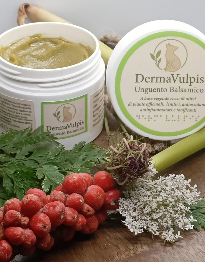 DermaVulpis unguento naturale prodotto da FitoCosmo360 con Acmella Oleracea